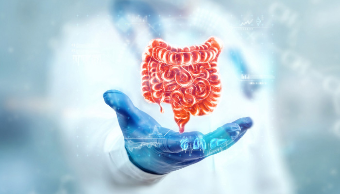 ADM and Brightseed are collaborating to research bioactives for gut health