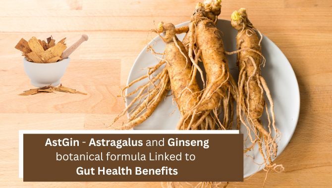 AstGin – Astragalus and Ginseng botanical formula Linked to Gut Health Benefits