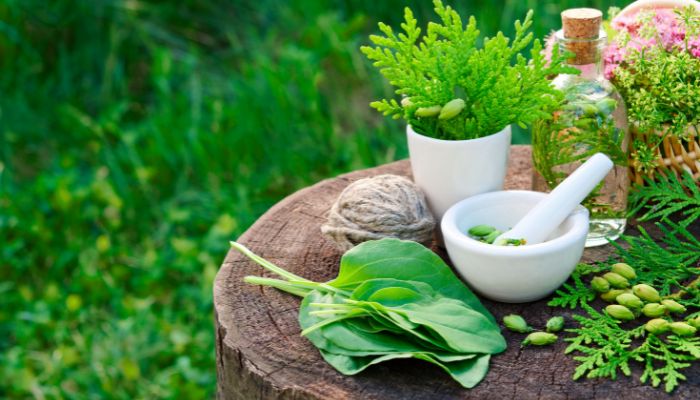 An Introduction to the Ancient Healing System: Ayurveda – What is it?
