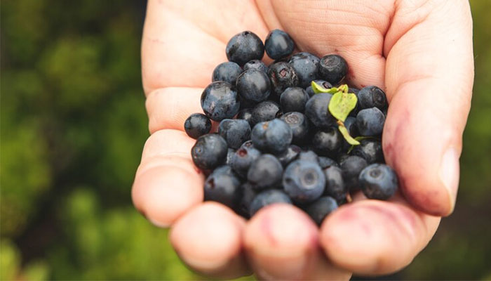 Blackcurrant Extract Enhances Heart Health & Metabolic Benefits of Exercise – Randomized Controlled Trial (RCT)