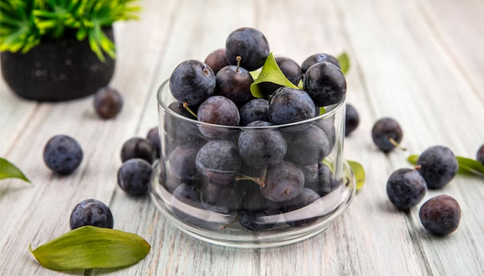 Activ’Inside’s Grape and Blueberry Extract: Boosting Cognitive Function in Mild Cognitive Decline