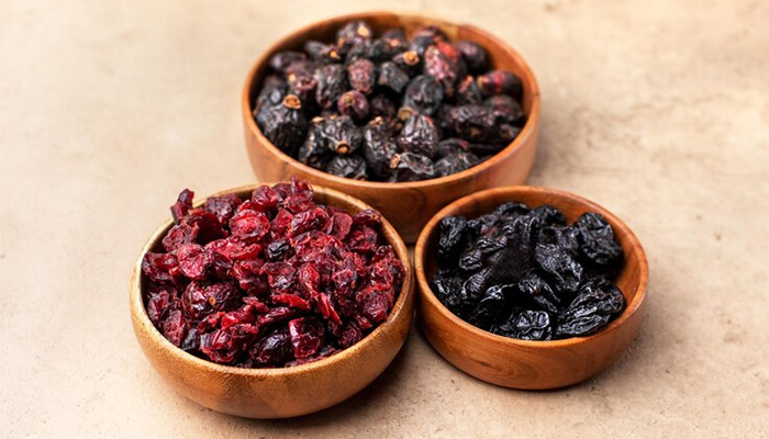Preview of Fruit d’Or’s New Cranberry and Blueberry Ingredients at IFT FIRST 2023