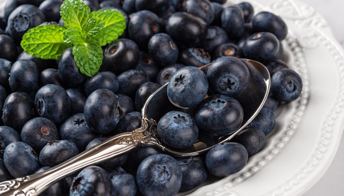 Study Confirms Wild Blueberries’ Significant Positive Impact on Cardiovascular and Brain Health