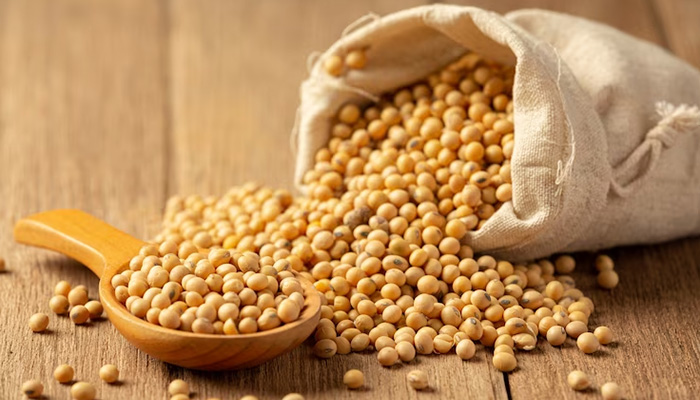 The Power of Lecithin: Unveiling Its Significance in Food, Drinks, and Supplements