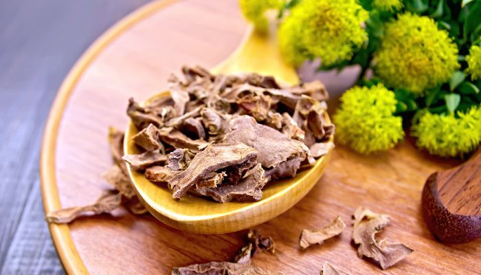 North America’s first CITES-compliant Rhodiola rosea now offered by PLT Health