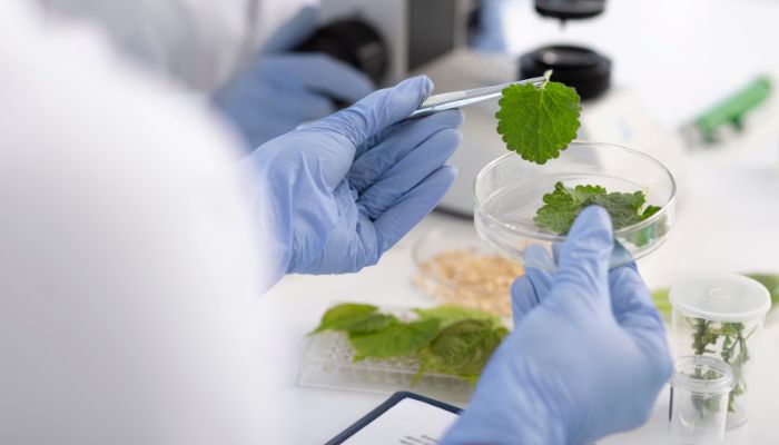 Vitafoods Europe to focus on nutraceutical innovations, personalization, and sustainability