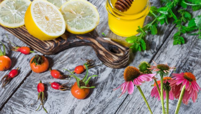 Ayana Bio unveils lemon balm and echinacea cultivated using plant cell technology for the first time