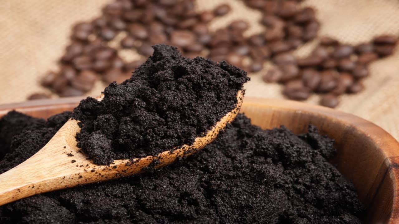 Recycled Coffee Grounds Unveil Promising Breakthrough in Neurodegenerative Disease Treatment