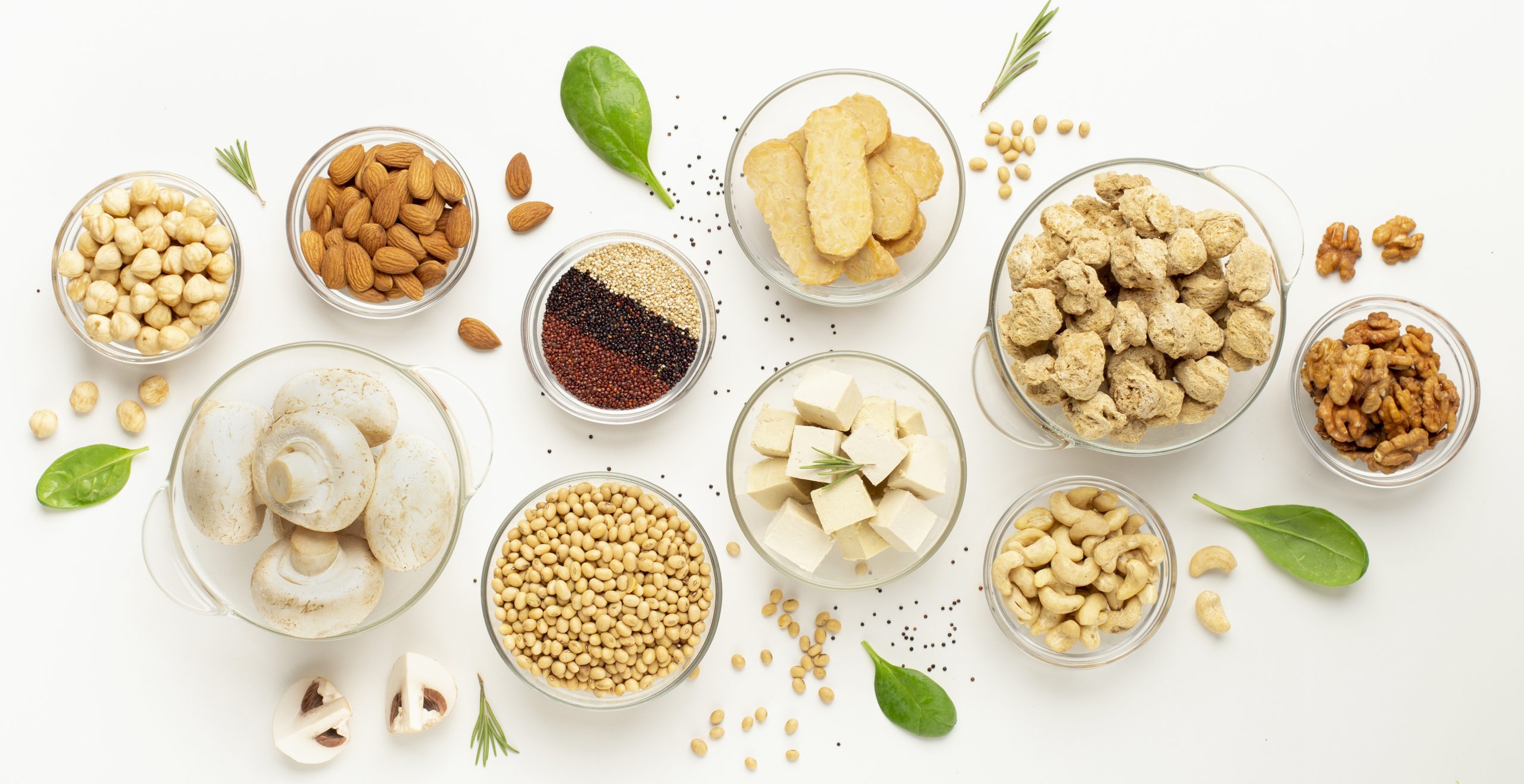 Plant-Based Alternatives: Navigating Nutrition Challenges for Healthier Choices